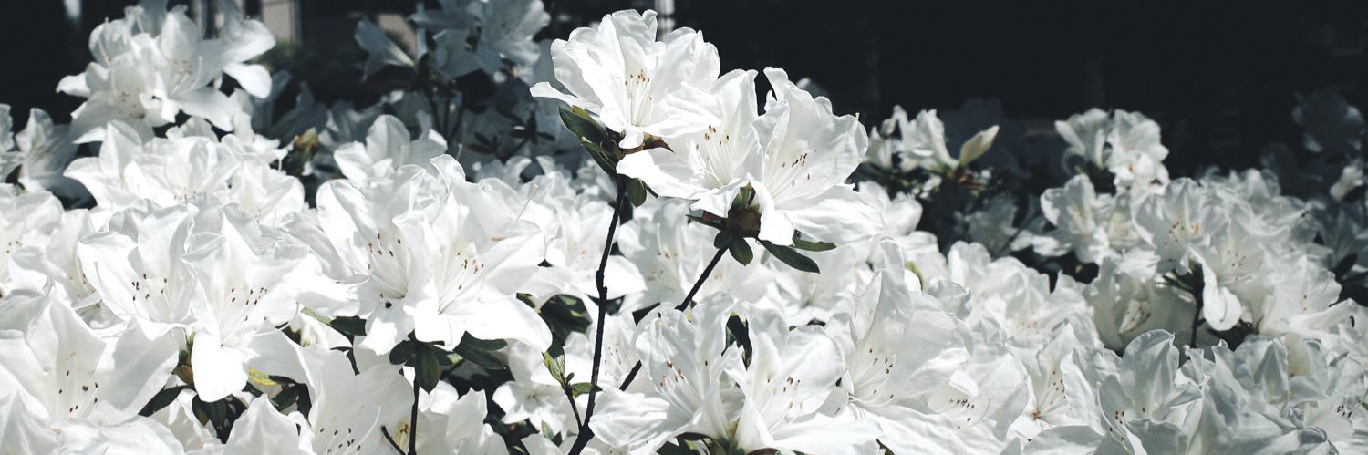 憂 sub's banner