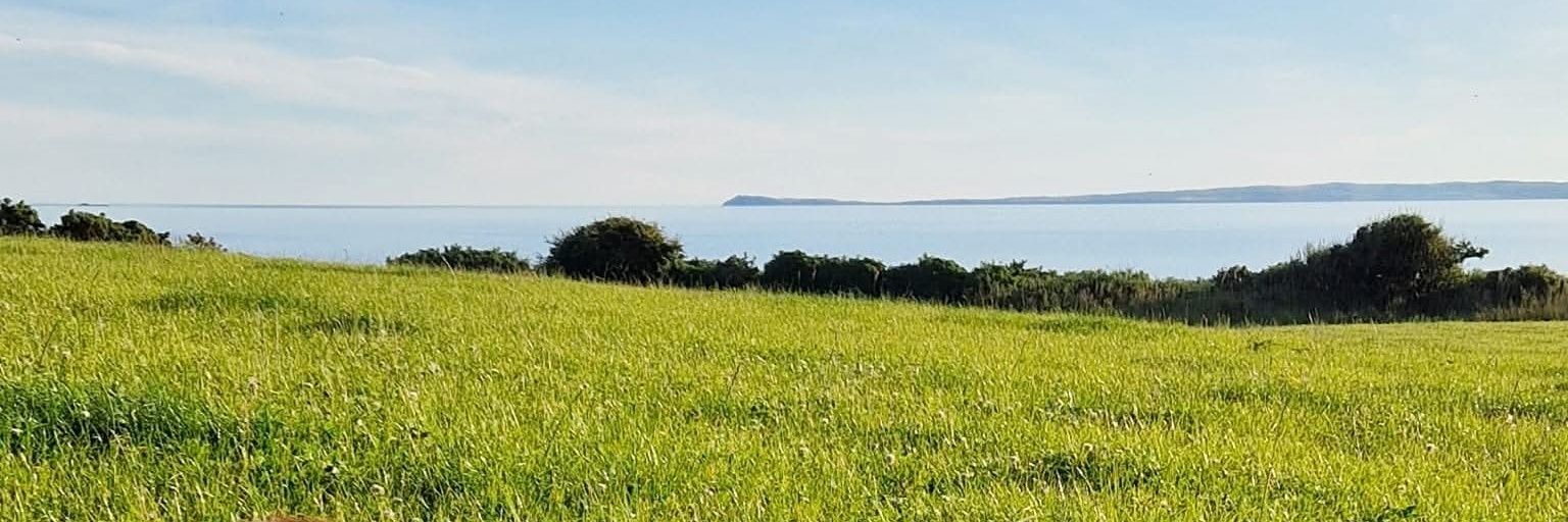 William smith banner