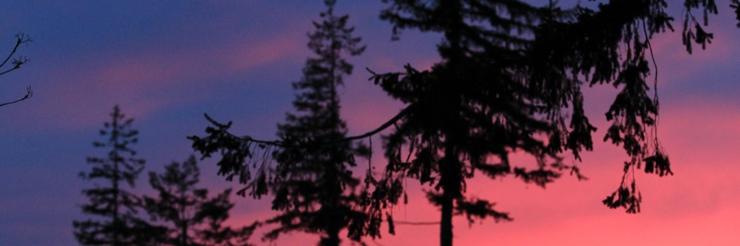 jaidypoo's profile banner image