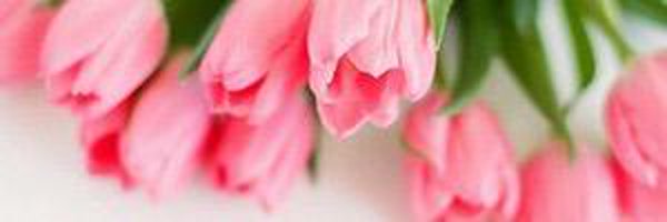 Awrelven64 Profile Banner