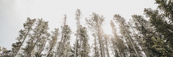 caitlin_reid Profile Banner