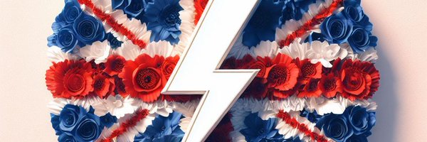 Nomad2Pure Profile Banner