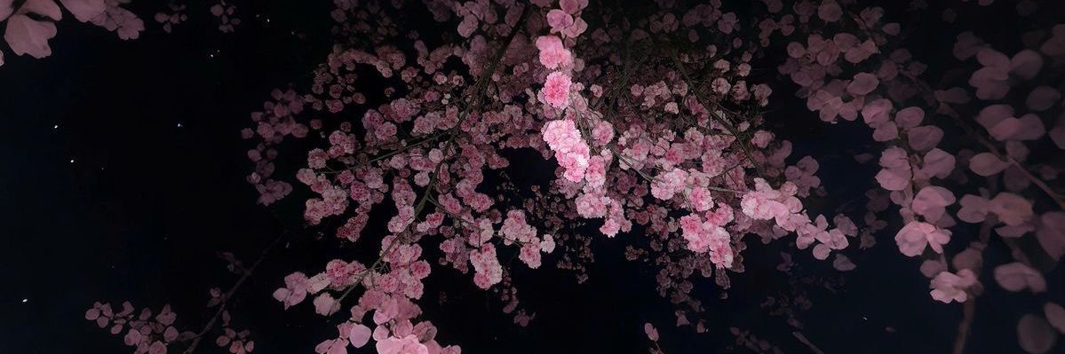 moonlighttnae's profile banner image