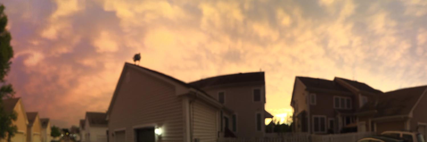 sohailali's profile banner image
