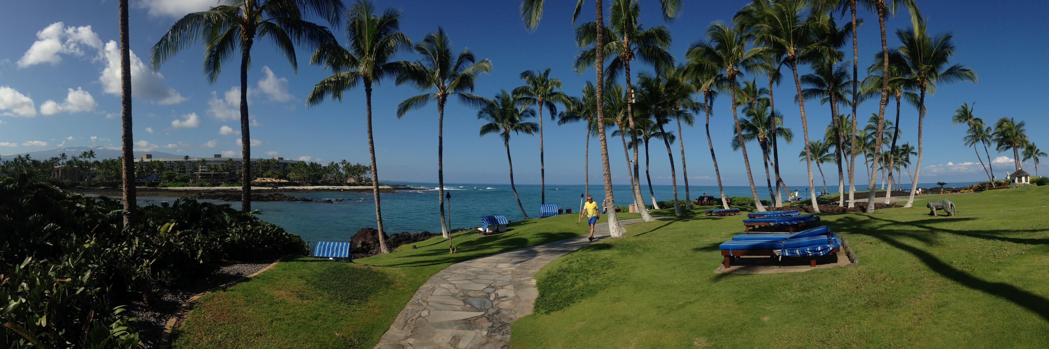 Eric Britton Adams banner