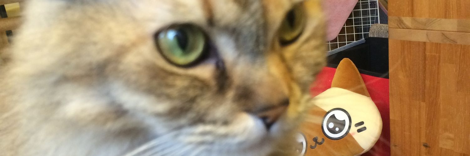 369sandesu's profile banner image
