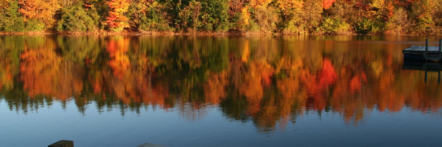 Melody Burri Media banner