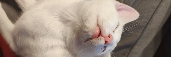 rexel_frag Profile Banner