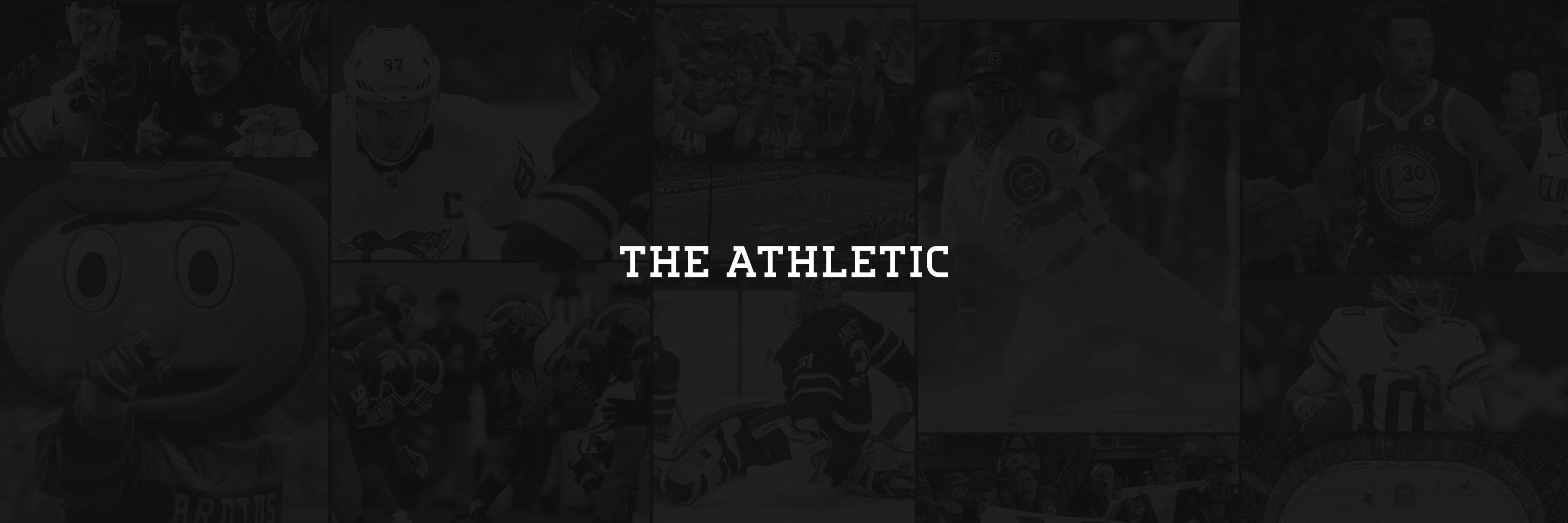 fichtenbaum's profile banner image