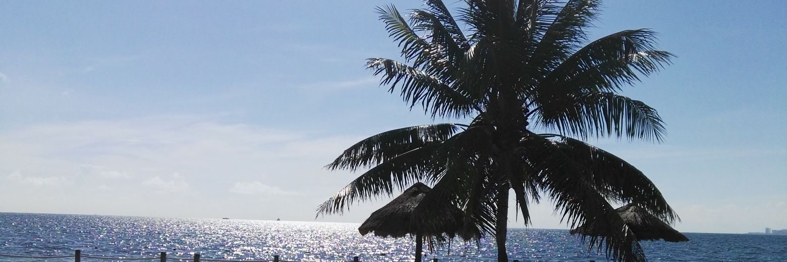 TIESTOBESTFAN's profile banner image