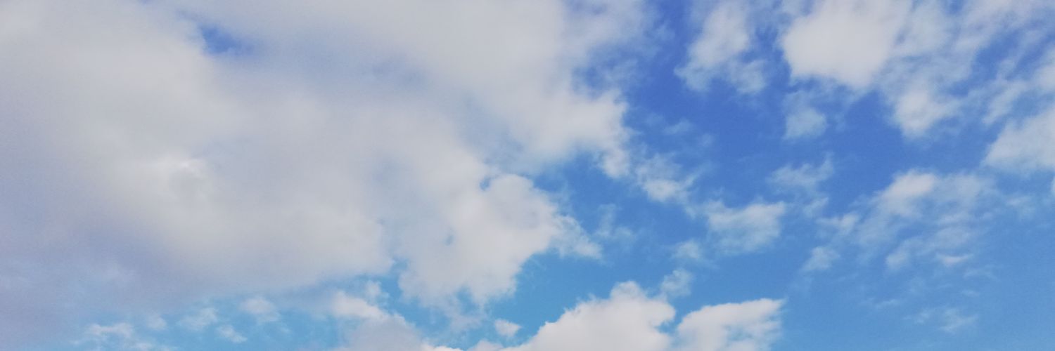 前島のぶなが's banner