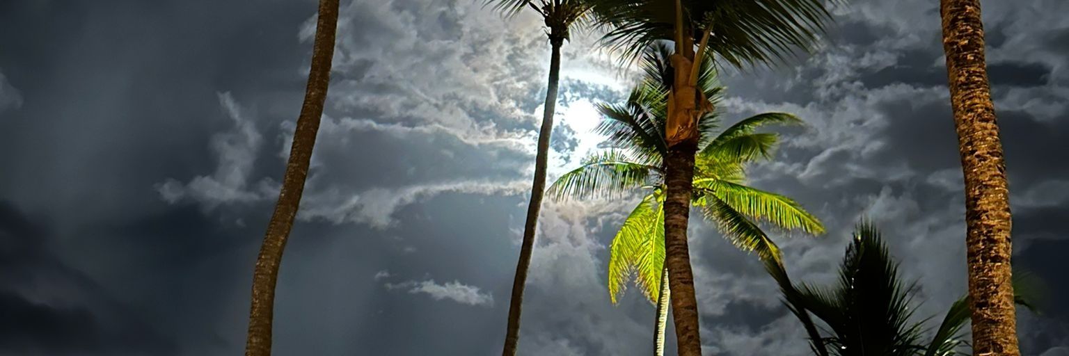 Ricardo Ferris León en las calles banner