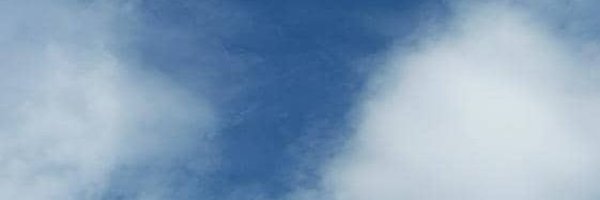 coprosela2 Profile Banner
