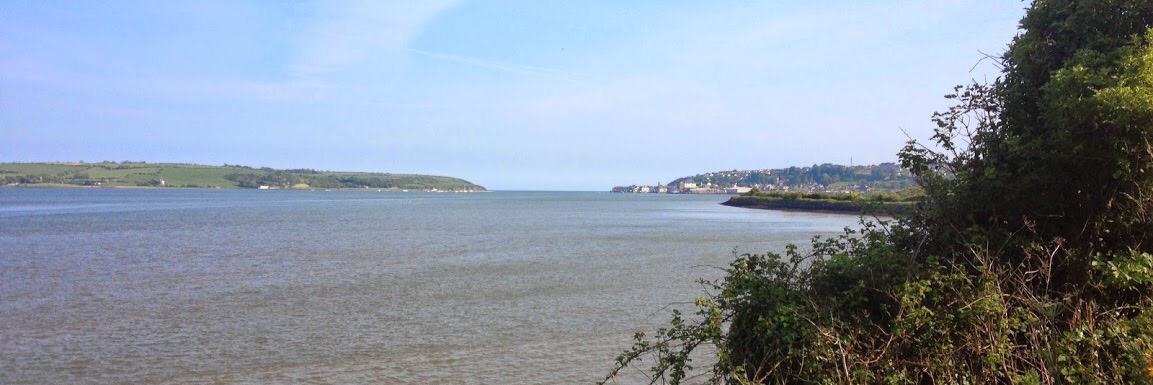 youghal's profile banner image