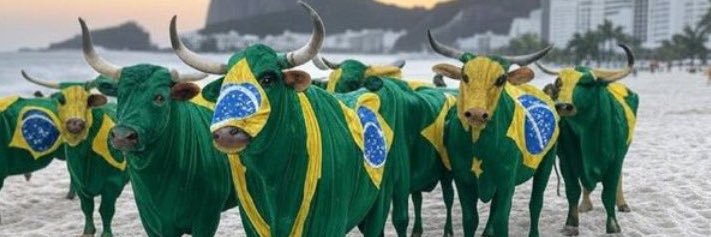 TomCruzCredo's profile banner image