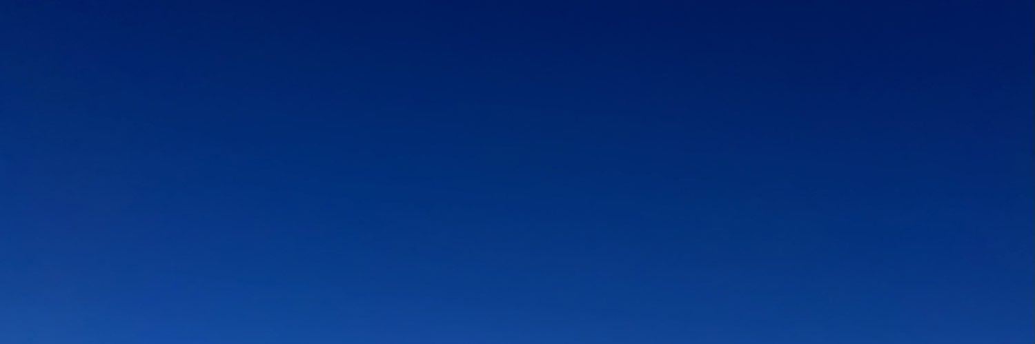Logan banner