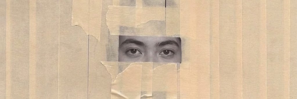 araujodebbs's profile banner image