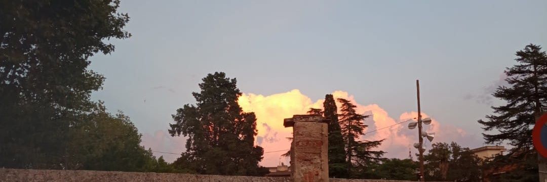 nilbauutista's profile banner image