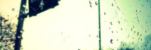 Scott Steigerwald banner