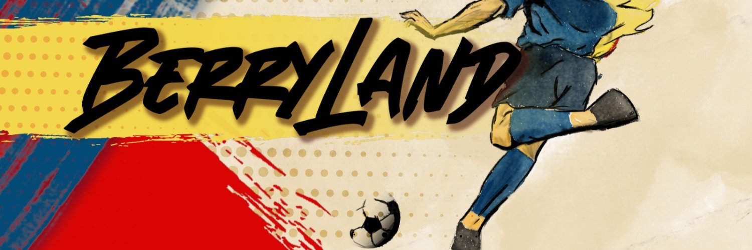 BerryLANDFutbol's profile banner image