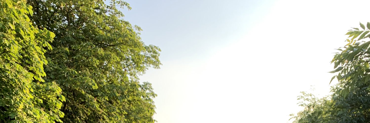 LiamAmine's profile banner image
