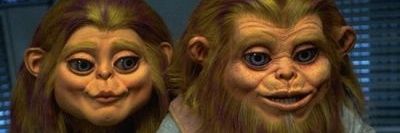 briandelisandro's profile banner image