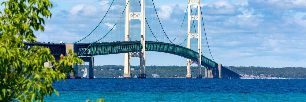 Sarah Gonzales banner