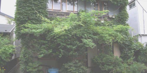 zarrysck's profile banner image