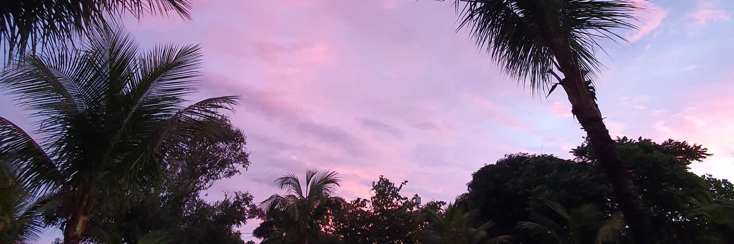 pricout's profile banner image