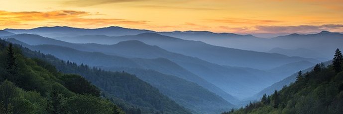 Cameron Presley @ 🏠 banner