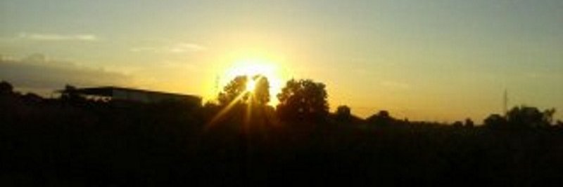 Celia Souza Barreto banner