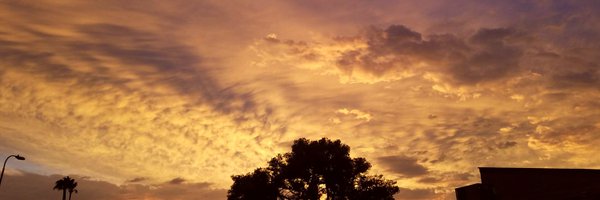 adrianmunoz79 Profile Banner