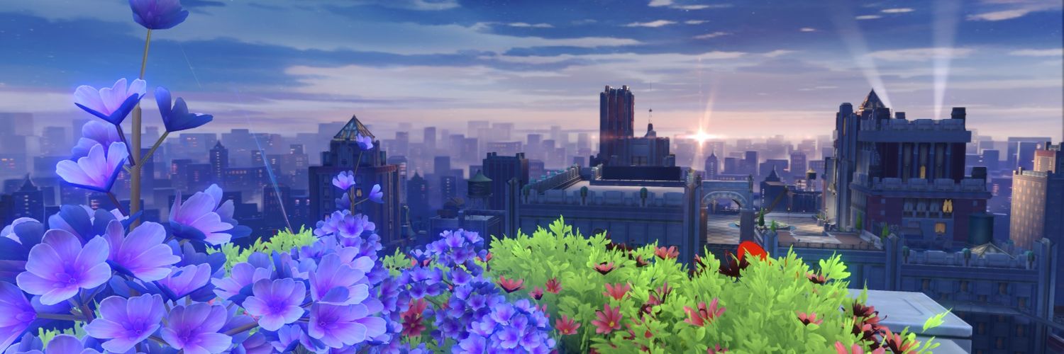 gatomat's profile banner image