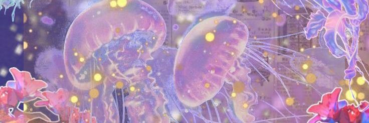 tynr banner