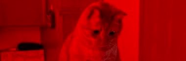 YoungEthernet's profile banner image