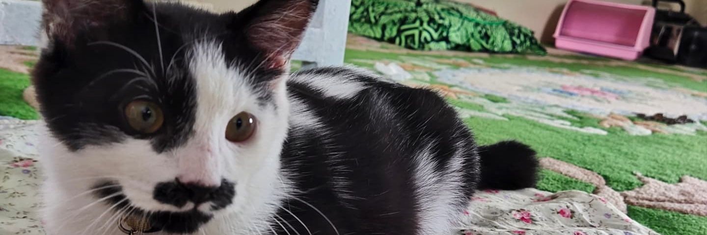jinanvb's profile banner image