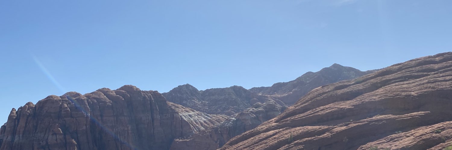 NelsRandomLife's profile banner image