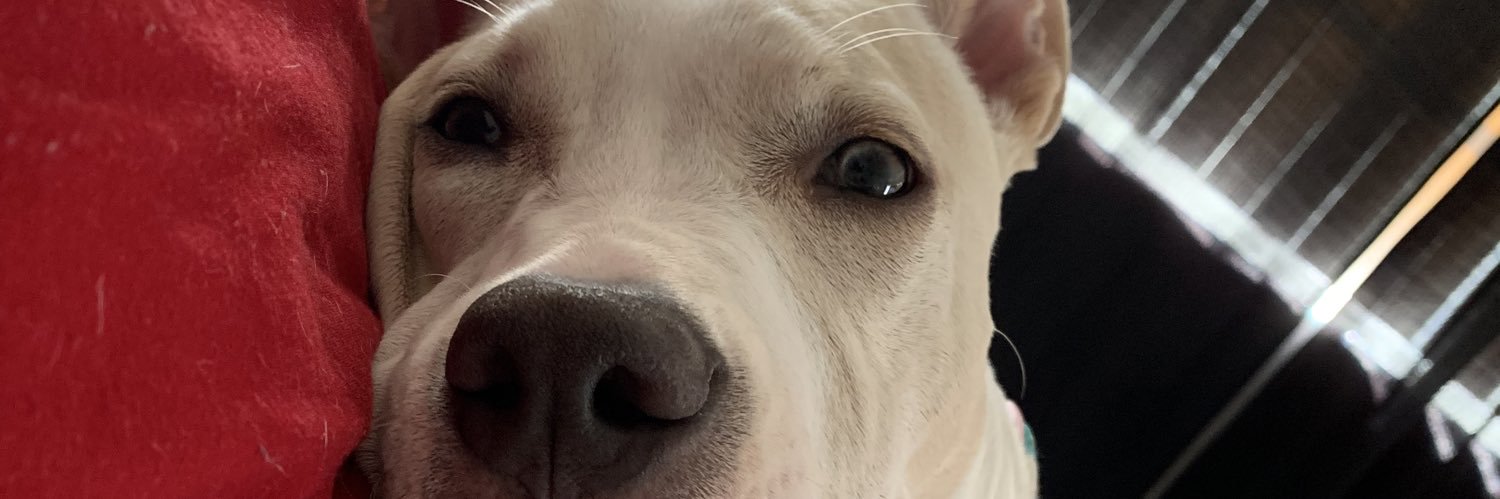 ItsNothinAAA's profile banner image