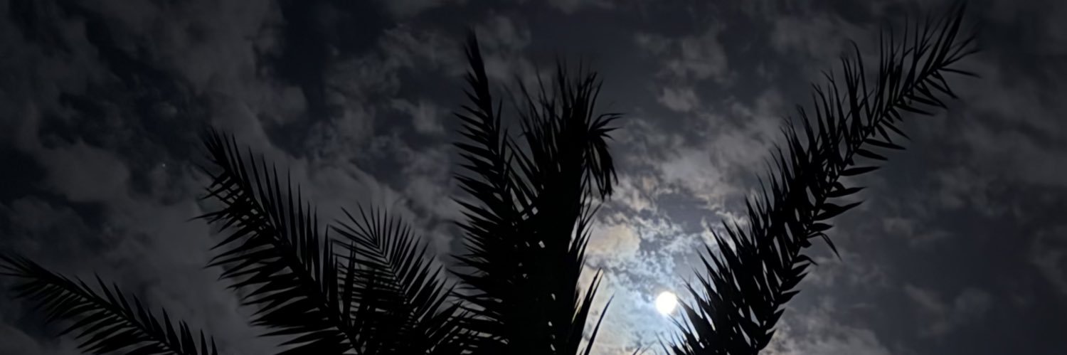 Twitter banner for @ivr