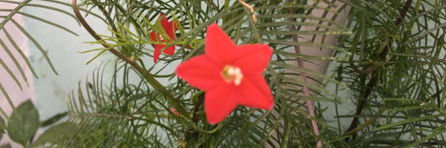 gh_argento's profile banner image