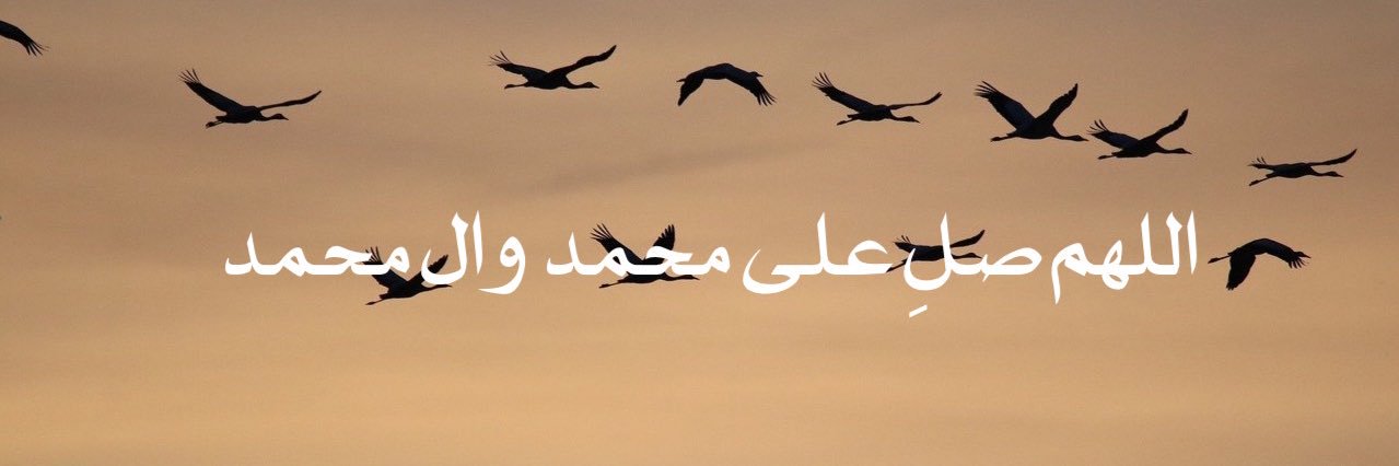 ROQA_____'s profile banner image
