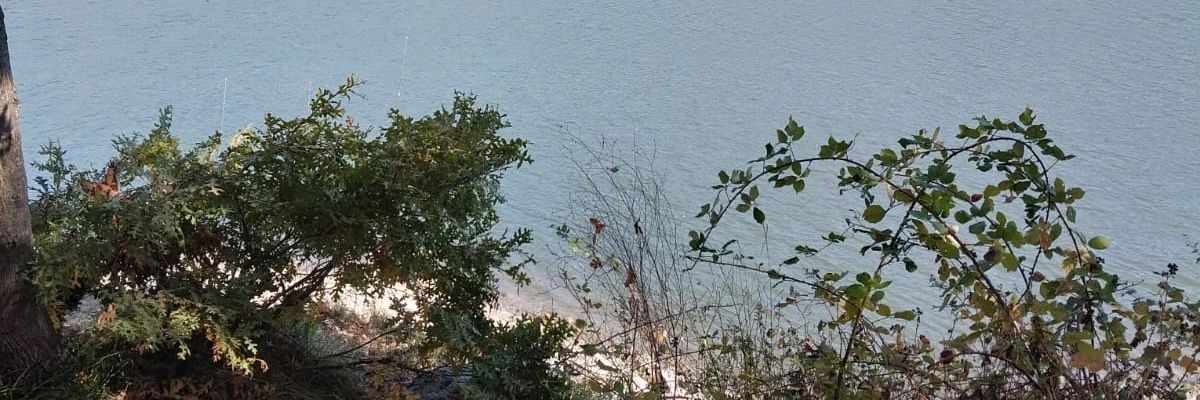 Zdemir225's profile banner image