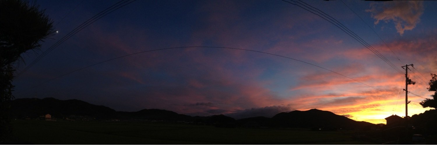 cactus_cepo's profile banner image
