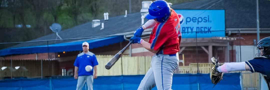 Dane Firmstone banner