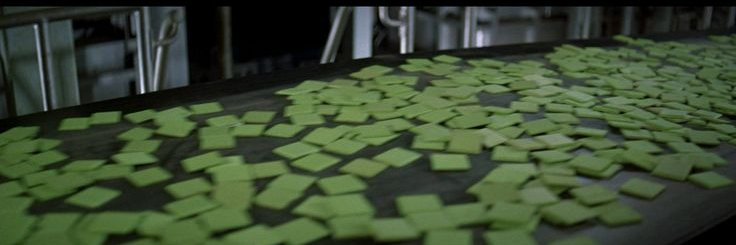 cat-a-mountain banner