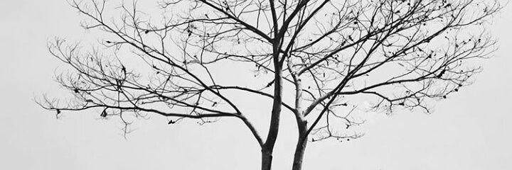 denowasti's profile banner image
