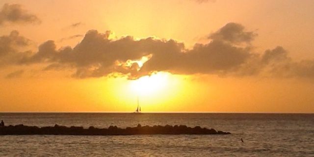 nella1307's profile banner image