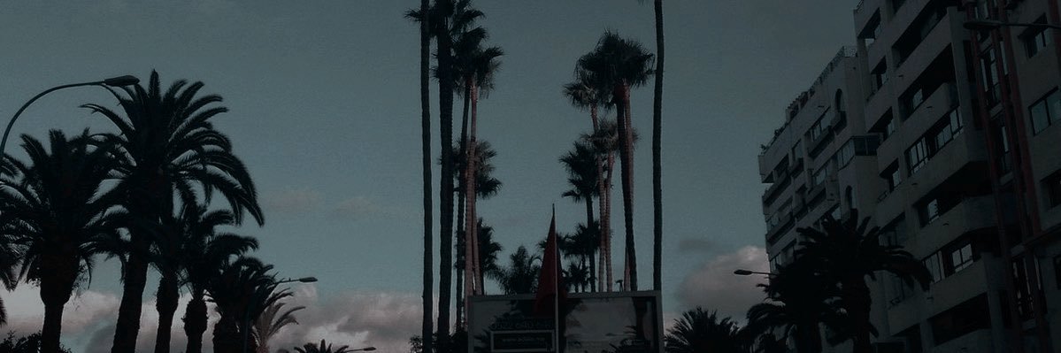 SILVERTZNGUE's profile banner image