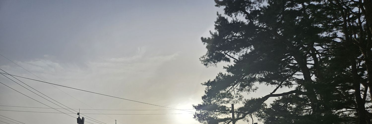 Bjaehu's profile banner image
