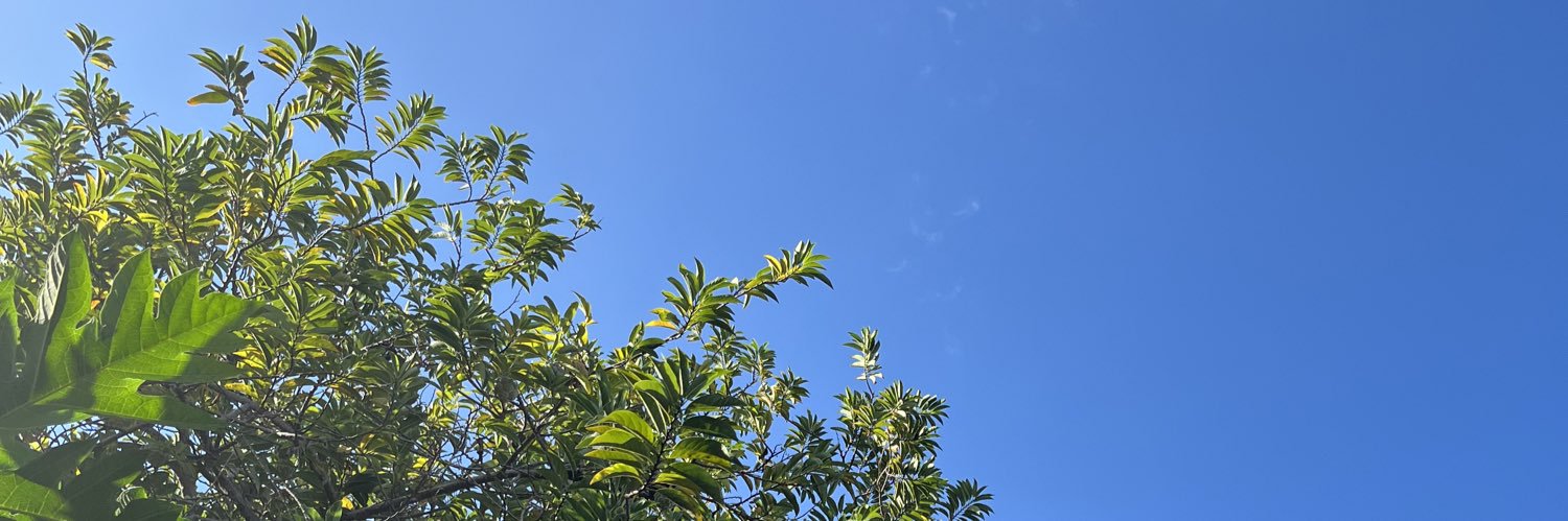 nfberl's profile banner image